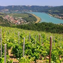Vienne Condrieu 6 Camping le Bontemps Ciela Village