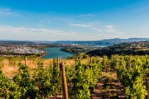 *Isère camping 15 ADO camping condrieu vallée du rhone