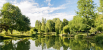 .Accueil 13 camping lac isère